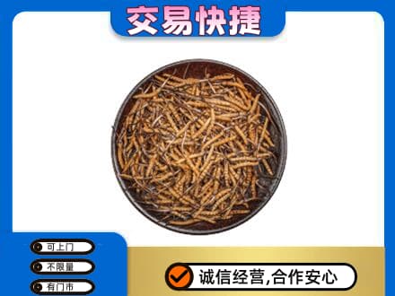 赤峰高价回收散虫草